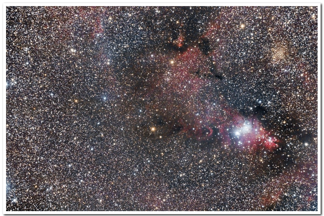 Cone Nebula (Christmax Tree) NGC2264