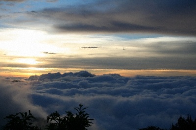 阿里山雲海2.jpg