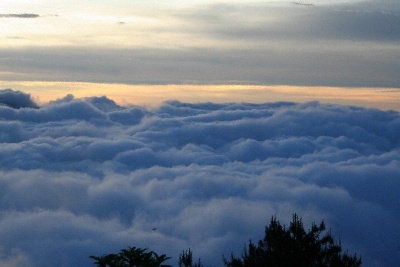 阿里山雲海4.jpg