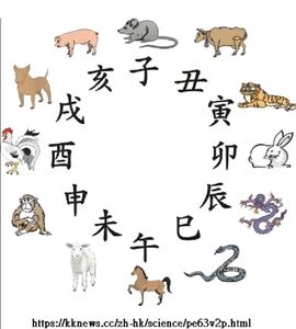 12 animals.jpg