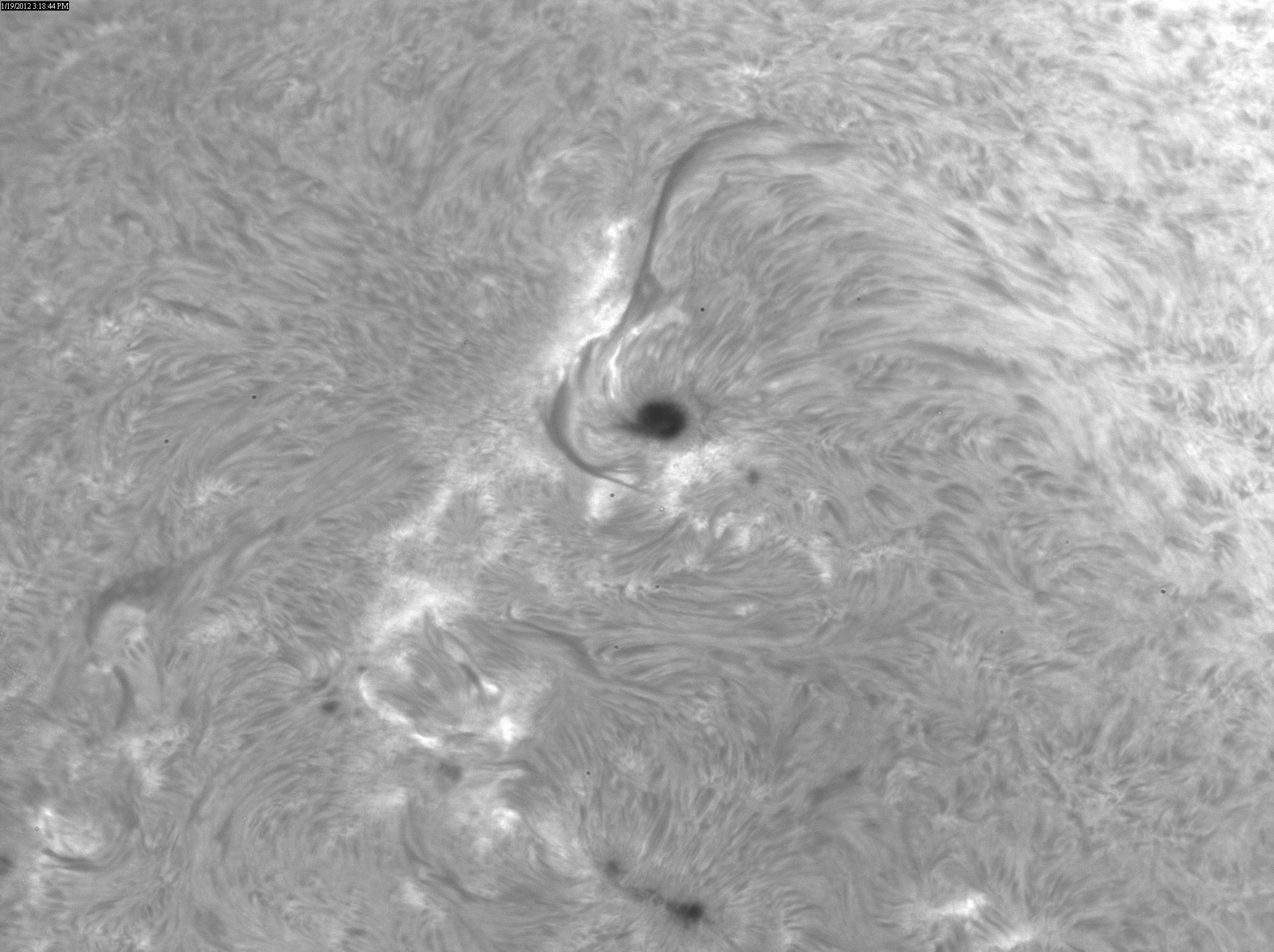 2012 Jan 19 Sun -AR11401 and 11402 region