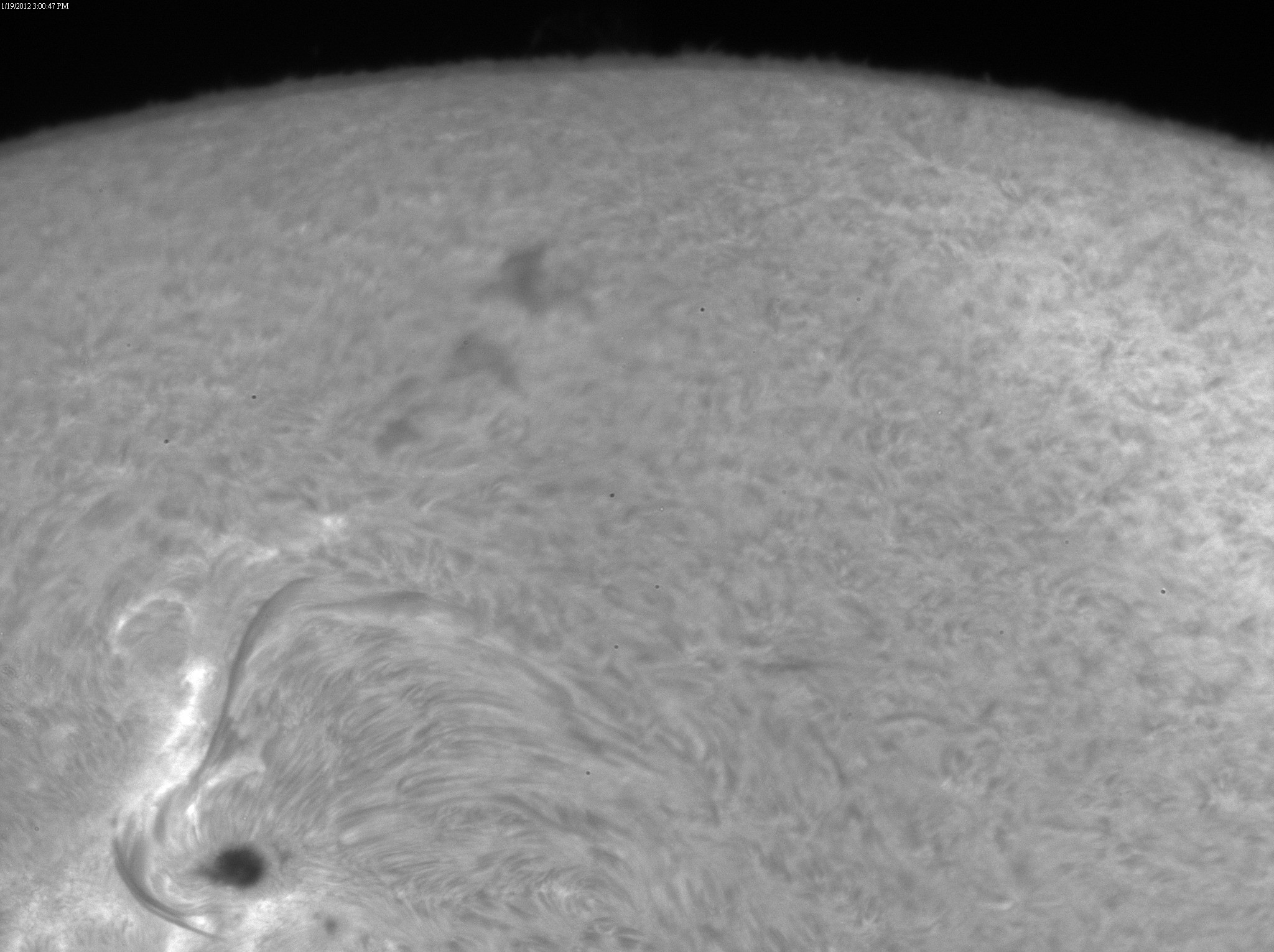 2012 Jan 19 Sun -AR11401, 11402, 11405 and 11407