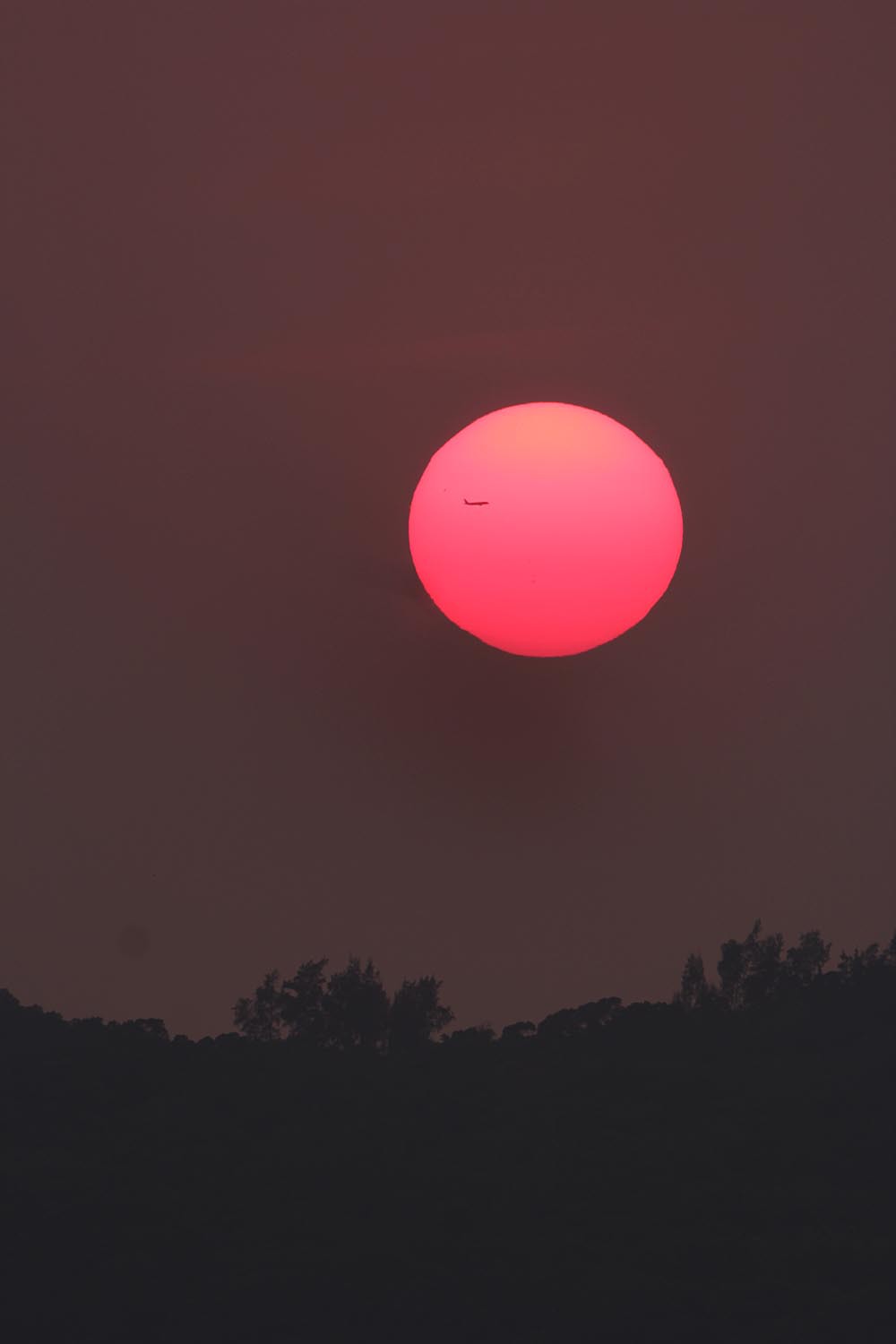 紅太陽
