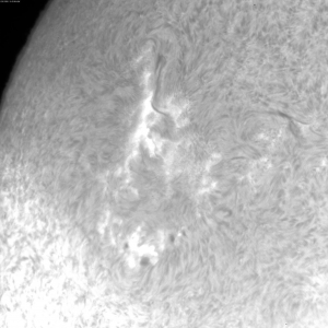 sun-d-20111215110806.jpg