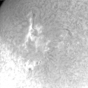 sun-d-20111215110745.jpg