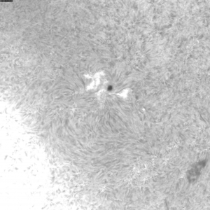 sun-e-20111215110136.jpg