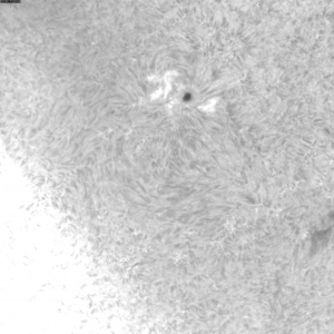 sun-e-20111215103430.jpg