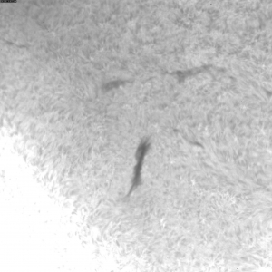 sun-f-20111215110651.jpg