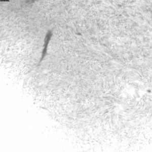 sun-f-20111215104413.jpg