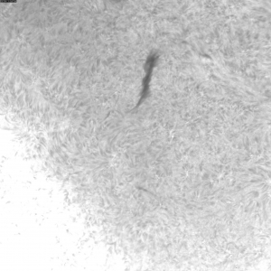 sun-f-20111215110447.jpg