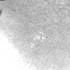 sun-20111215110511.jpg
