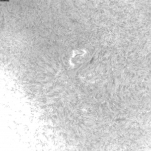 sun-20111215103406.jpg